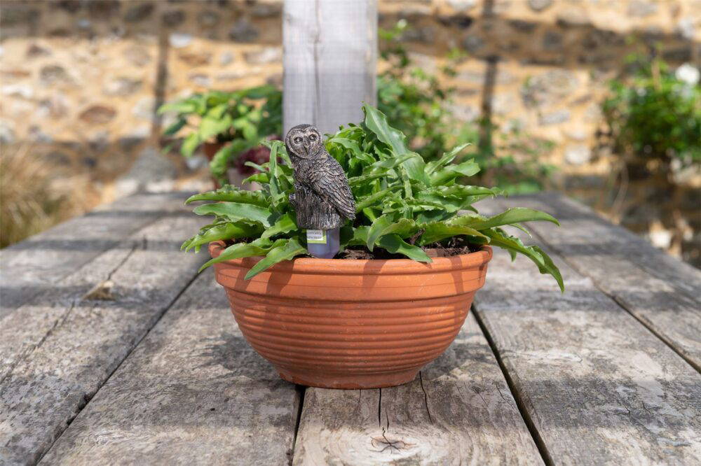 Barn Owl Plant Drip Feeder Cover & Feed - Image 7