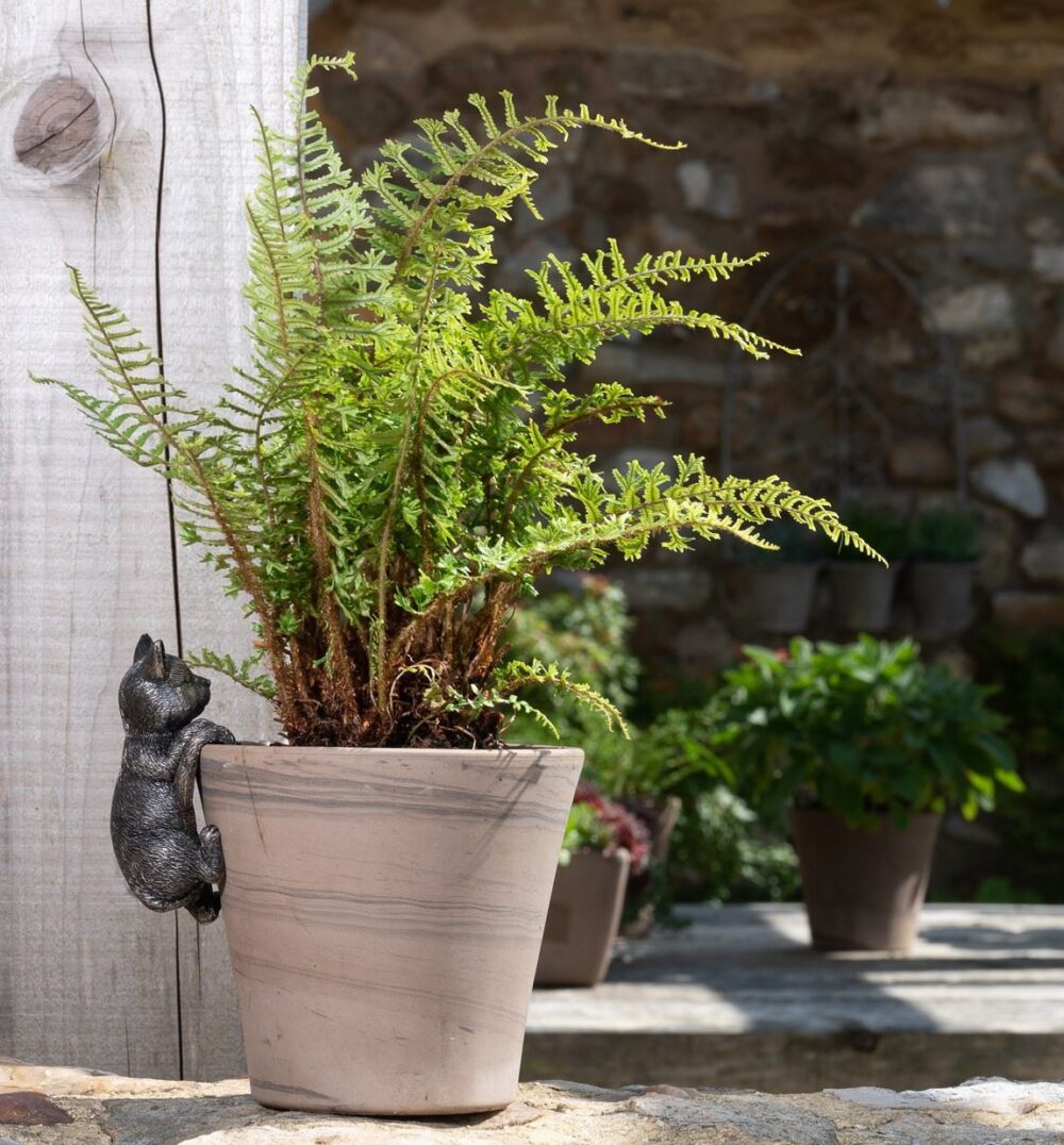 Cat Plant Pot Hanger - Image 4