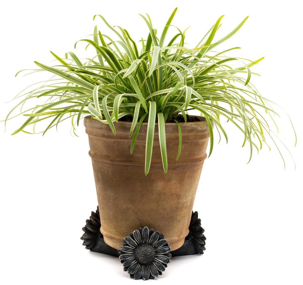 Daisy Plant Pot Feet - Set of 3 - Image 7