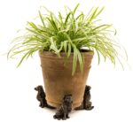 Border Collie Plant Pot Feet - Set of 3