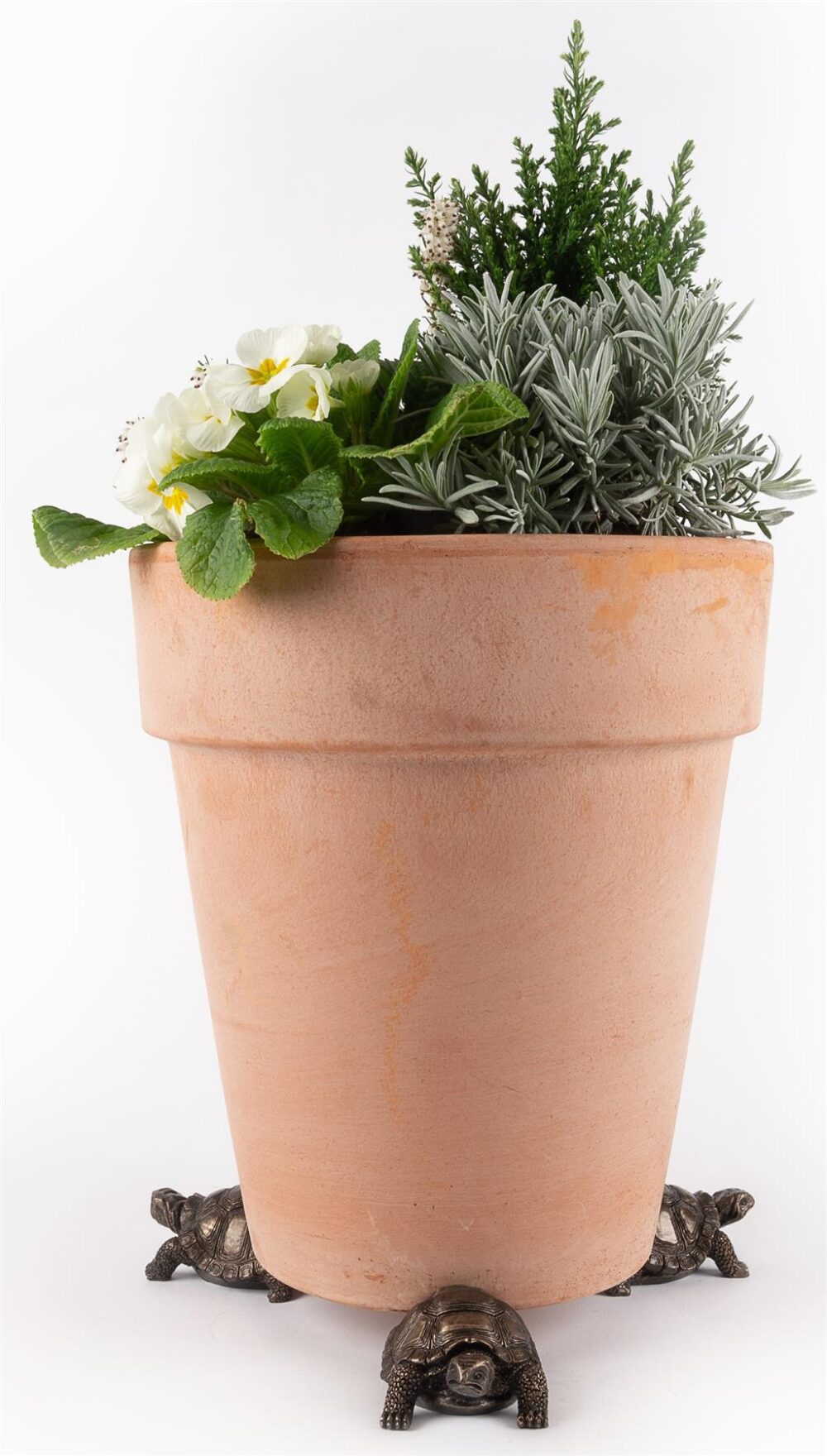 Tortoise Plant Pot Feet - Set of 3 - Image 10