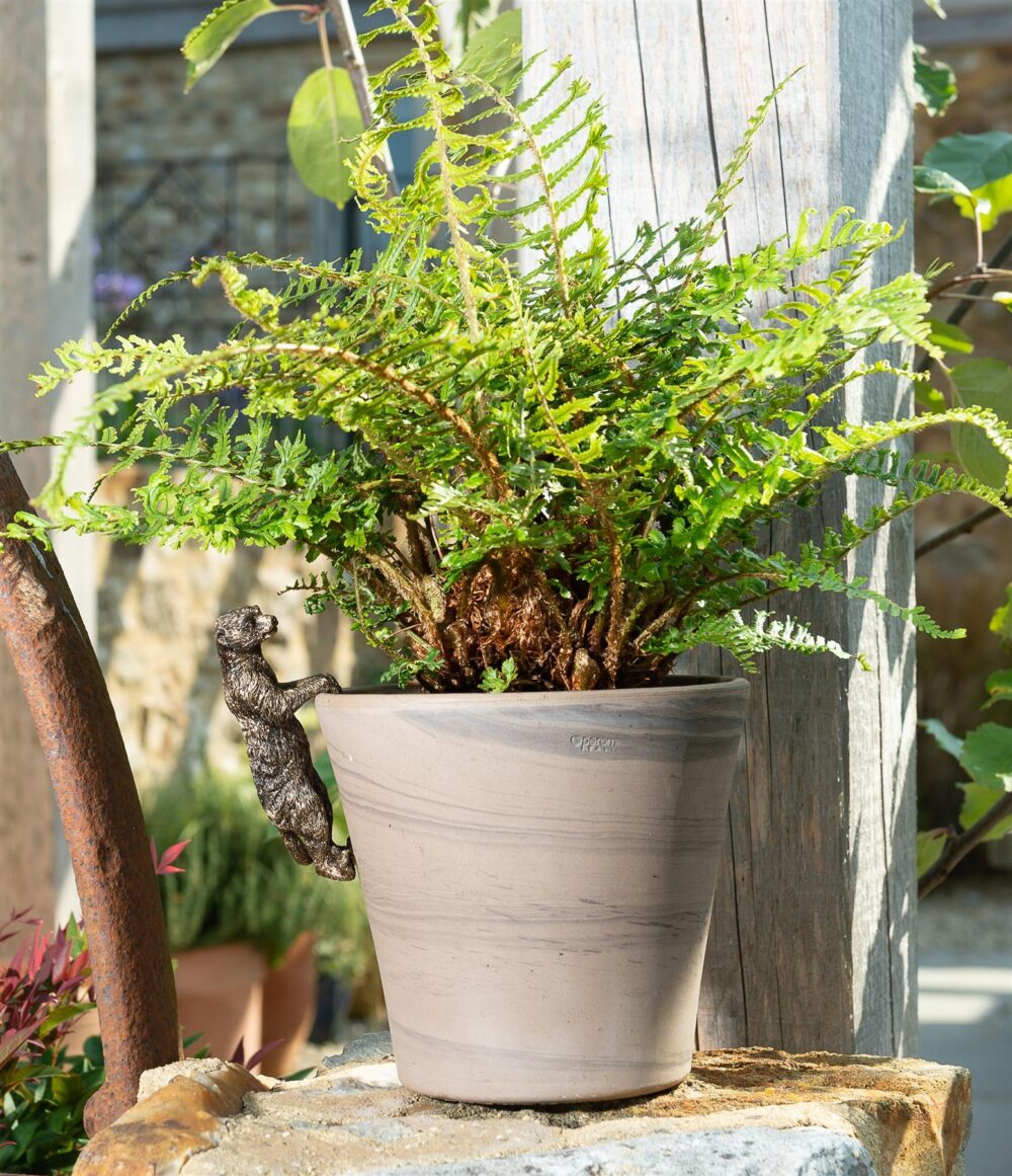 Meerkat Plant Pot Hanger - Image 3