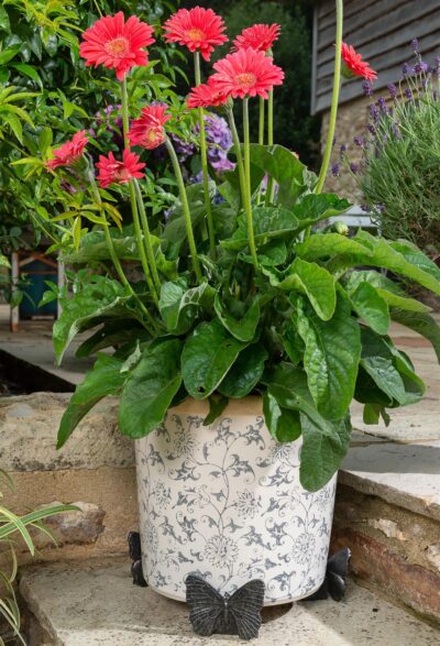 Butterfly Plant Pot Feet - Set of 3