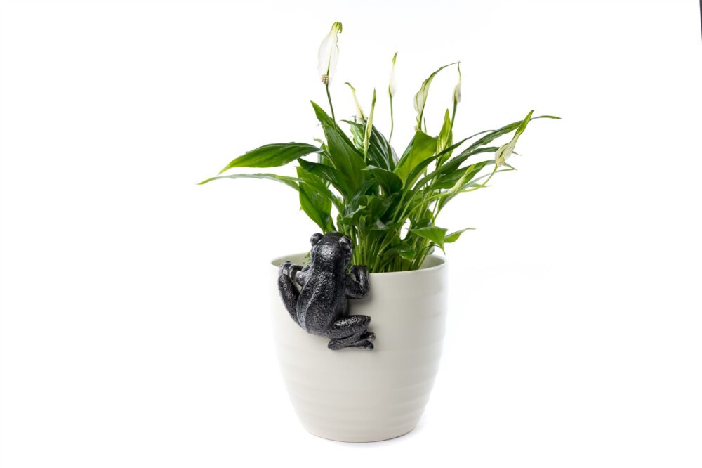 Frog Plant Pot Hanger - Image 9