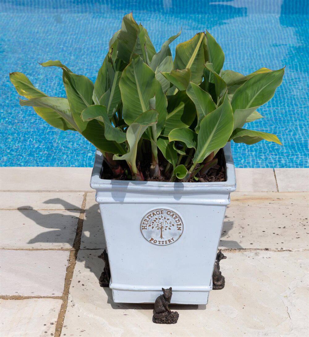 Fox Plant Pot Feet - Set of 3 - Image 7
