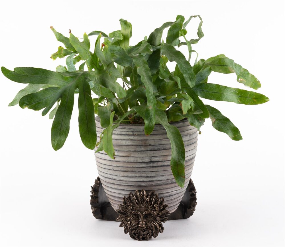 Green Man  Plant Pot Feet - Set of 3 - Image 3