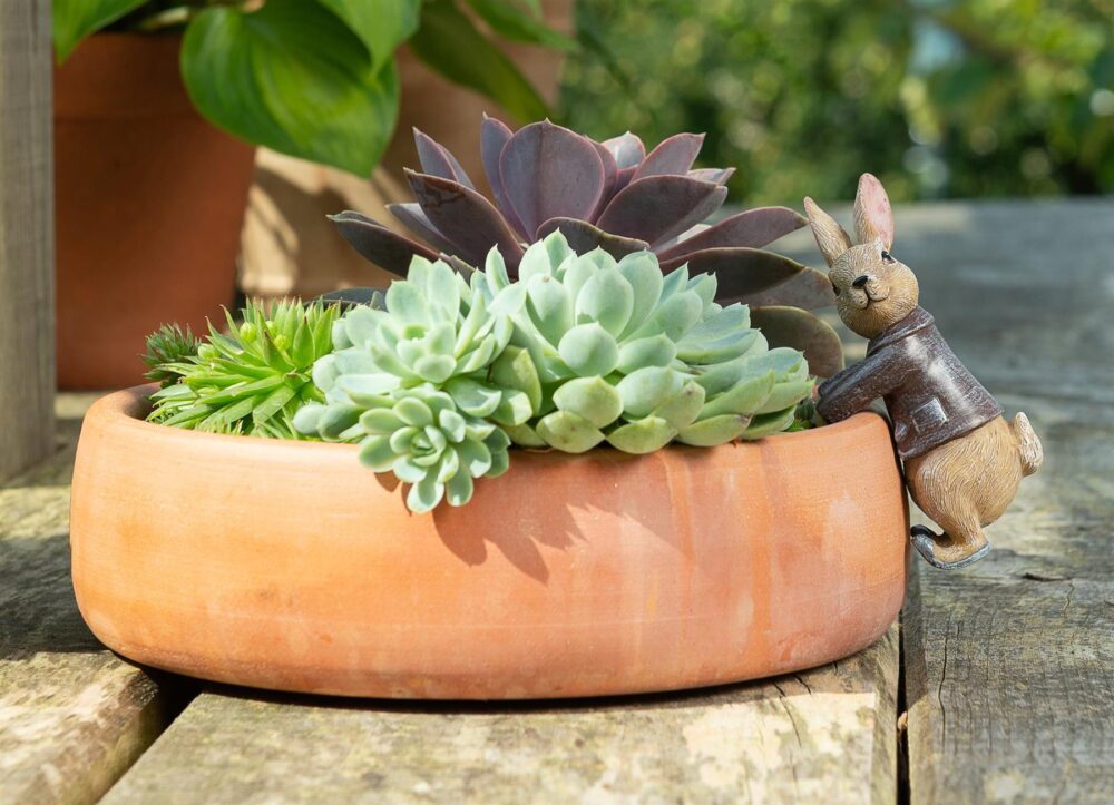 Beatrix Potter Benjamin Bunny Plant Pot Hanger - Image 2