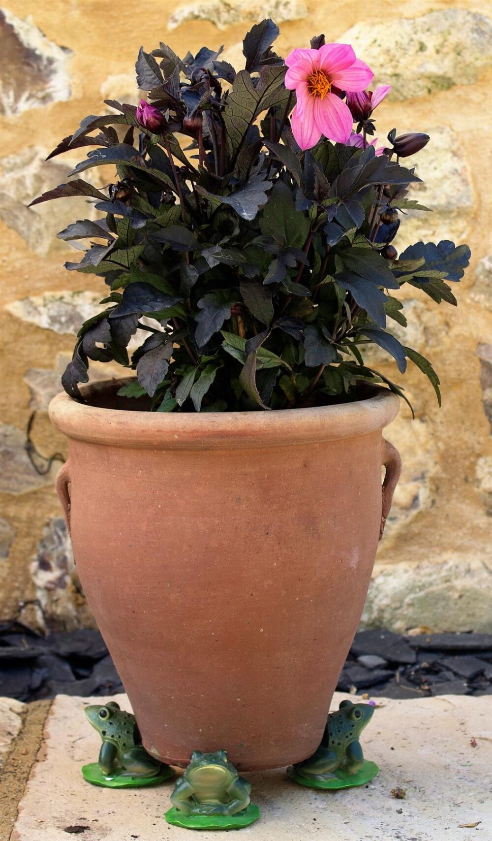 Green Frog Plant Pot Feet - Set of 3 - Image 5