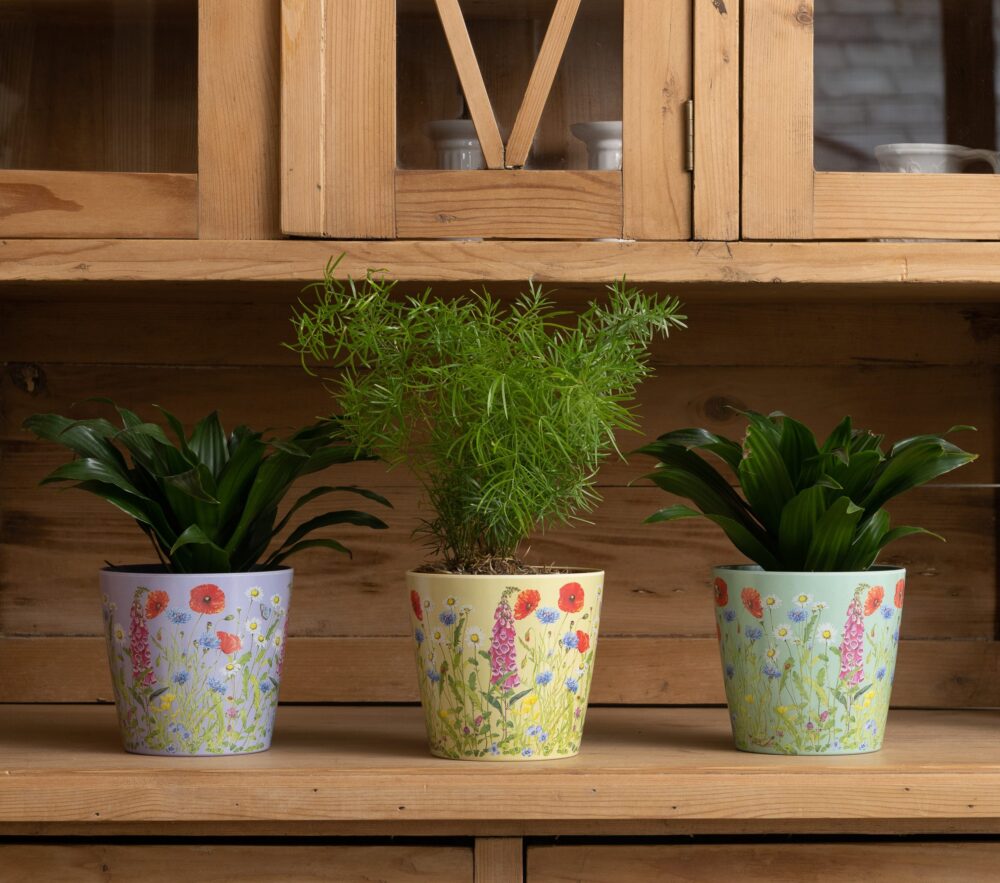 Bamboo Eco-Pot Iona Buchanan Meadow - Set of 3 - 3  colours - Image 5