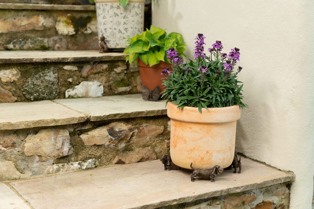 Basset Hound Potty Feet and Pot Buddy - Image 8