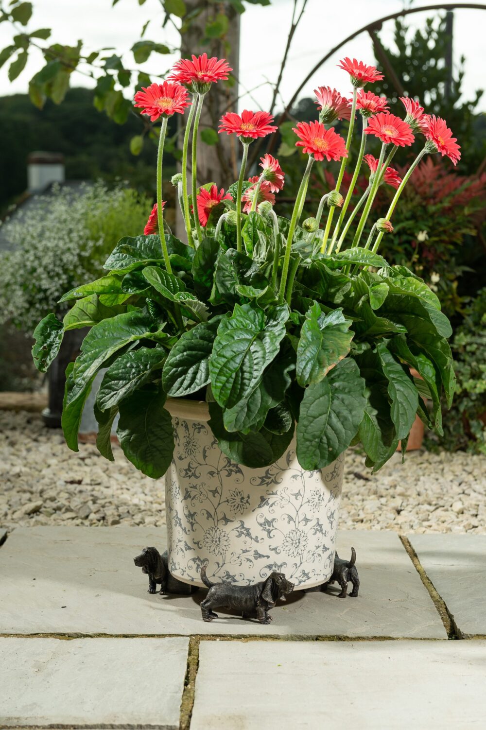 Basset Hound Potty Feet and Pot Buddy - Image 7