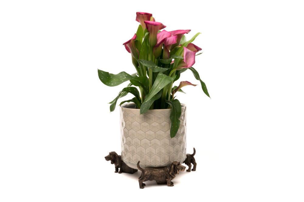 Basset Hound Potty Feet and Pot Buddy - Image 6