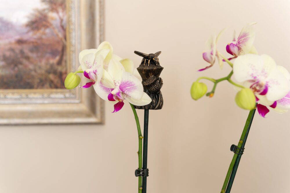Bee Potty Feet and Cane Companion Bundle Set - Image 3