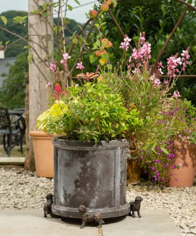 Bernese Mountain Dog Plant Pot Feet - Set of 3