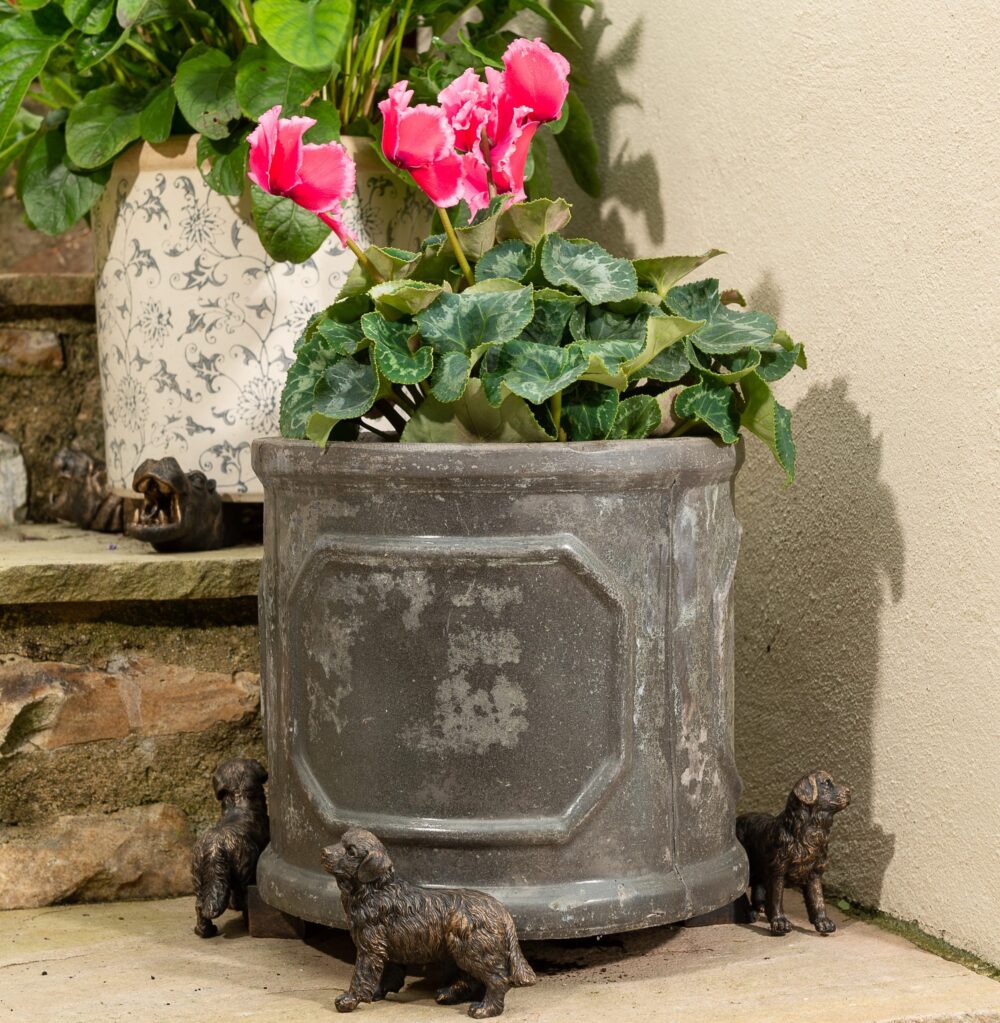 Bernese Mountain Dog Plant Pot Feet - Set of 3 - Image 3