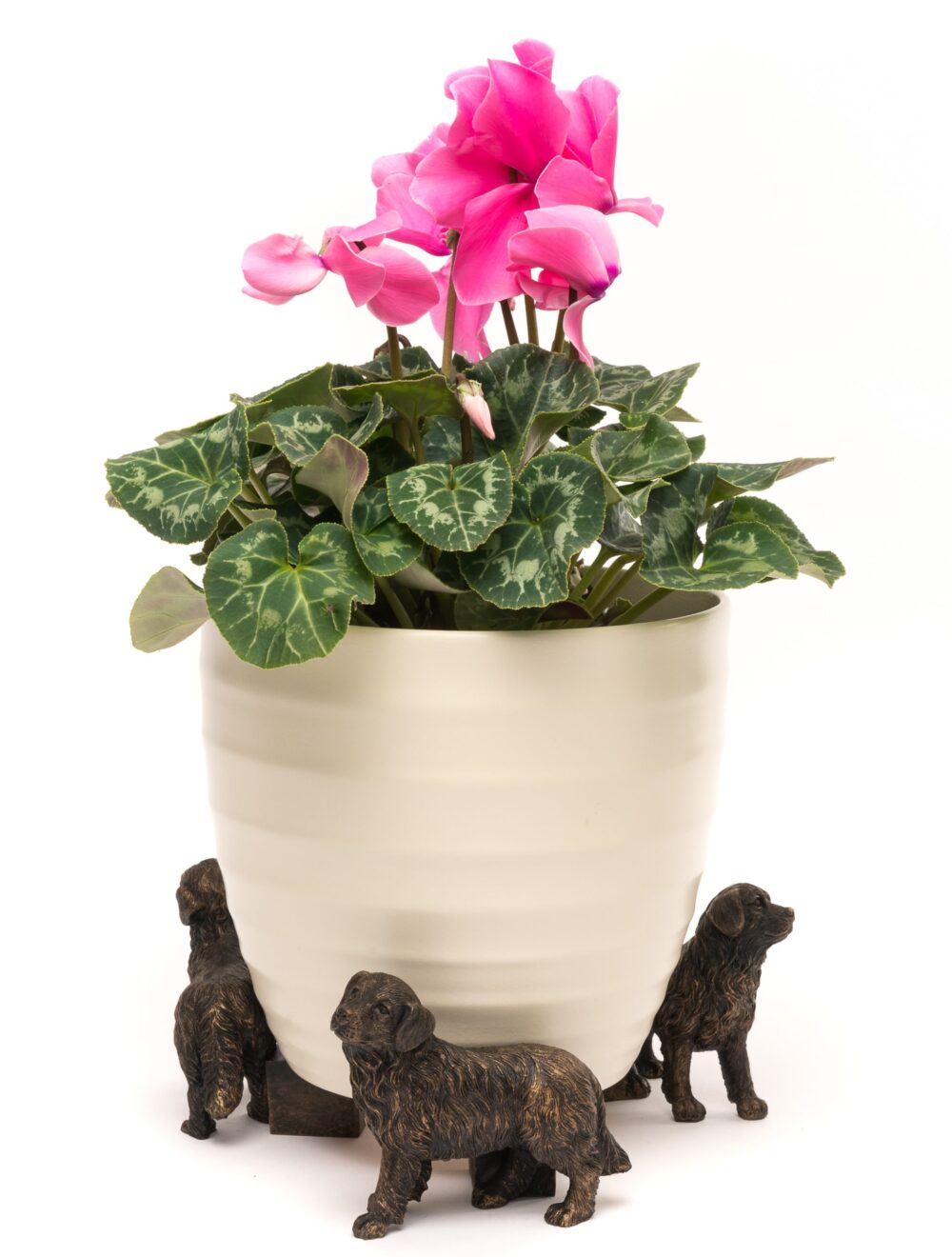 Bernese Mountain Dog Plant Pot Feet - Set of 3 - Image 5