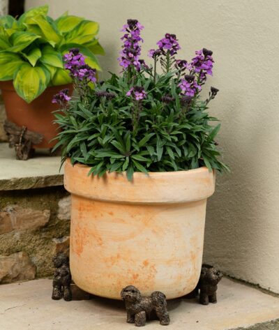Bichon Frise Plant Pot Feet - Set of 3