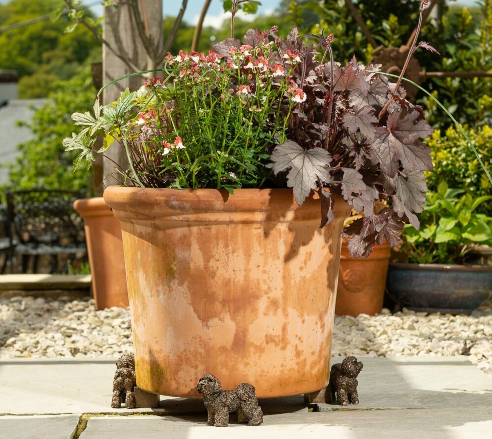 Bichon Frise Plant Pot Feet - Set of 3 - Image 5