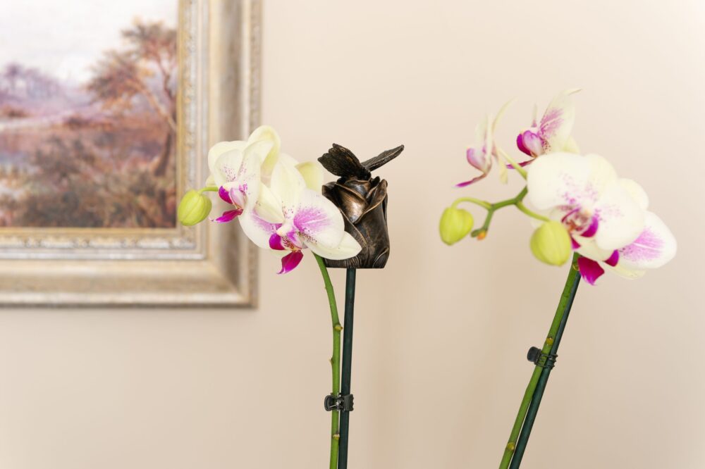 Butterfly Potty Feet and Cane Companion Bundle Set - Image 4
