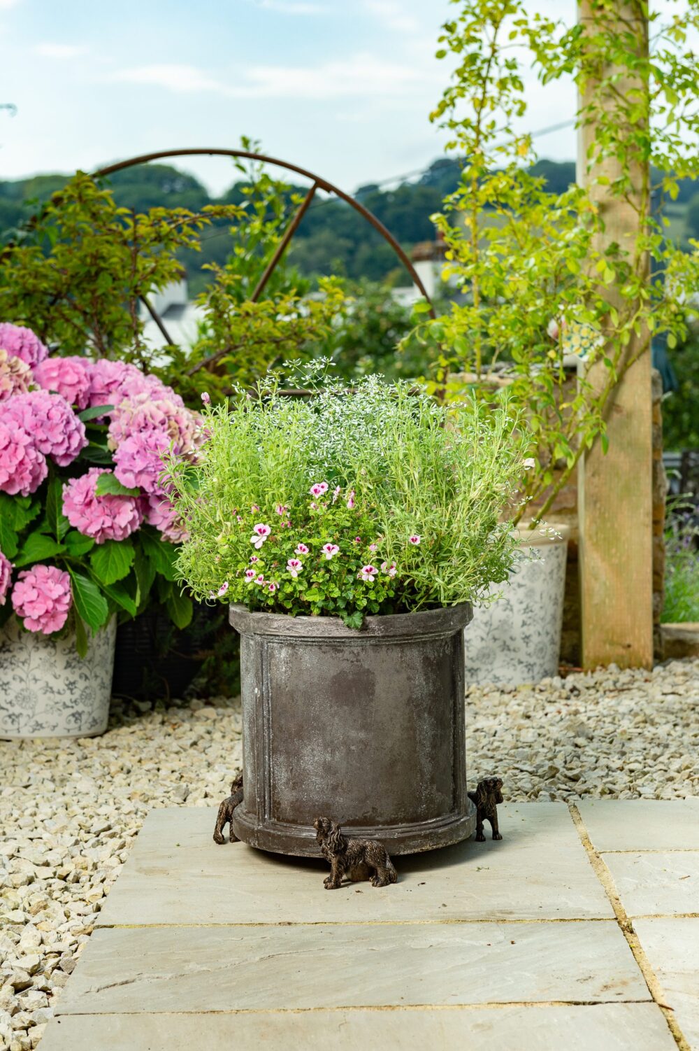 Cavalier King Charles Potty Feet and Pot Buddy - Image 9