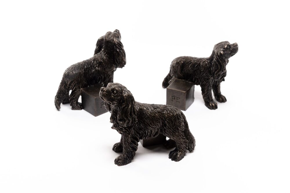 Cavalier King Charles Potty Feet and Pot Buddy - Image 4