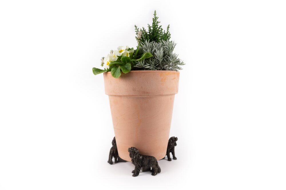 Cavalier King Charles Potty Feet and Pot Buddy - Image 3
