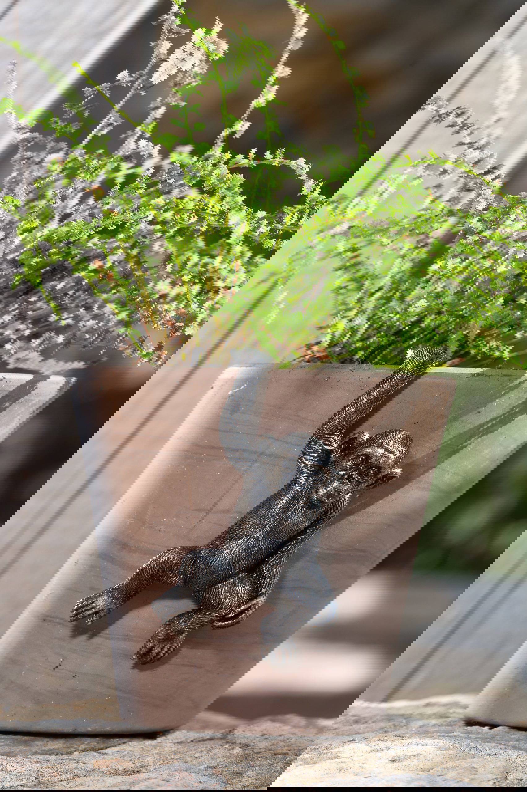 Chimpanzee Potty Feet and Pot Buddy - Image 9