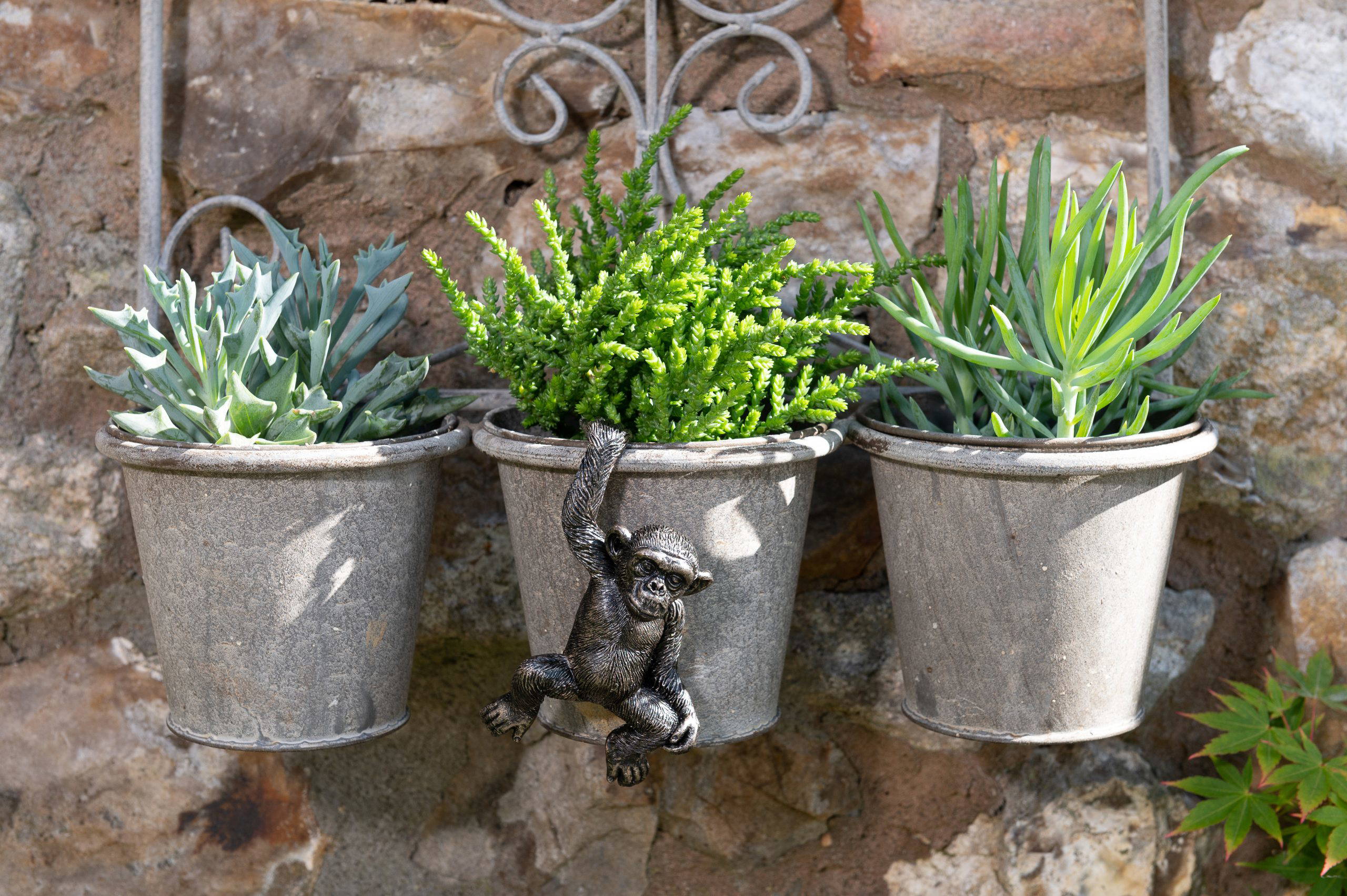 Chimpanzee Potty Feet and Pot Buddy - Image 8