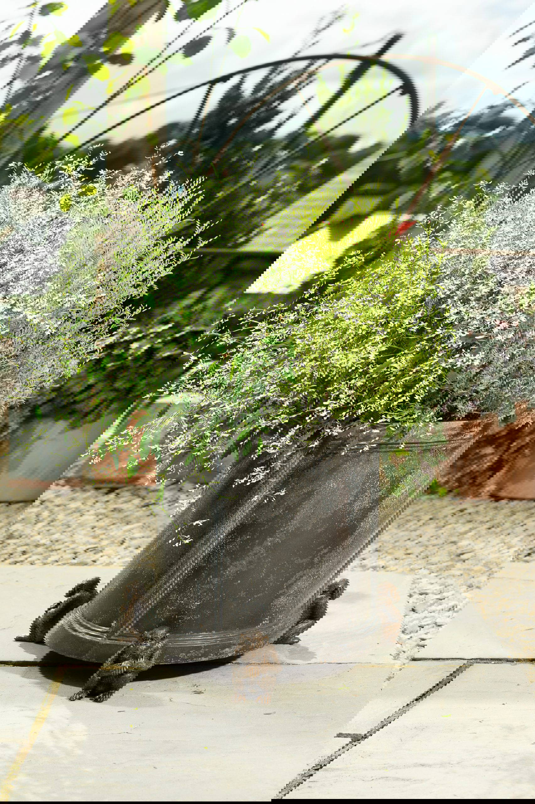 Chimpanzee Potty Feet and Pot Buddy - Image 4