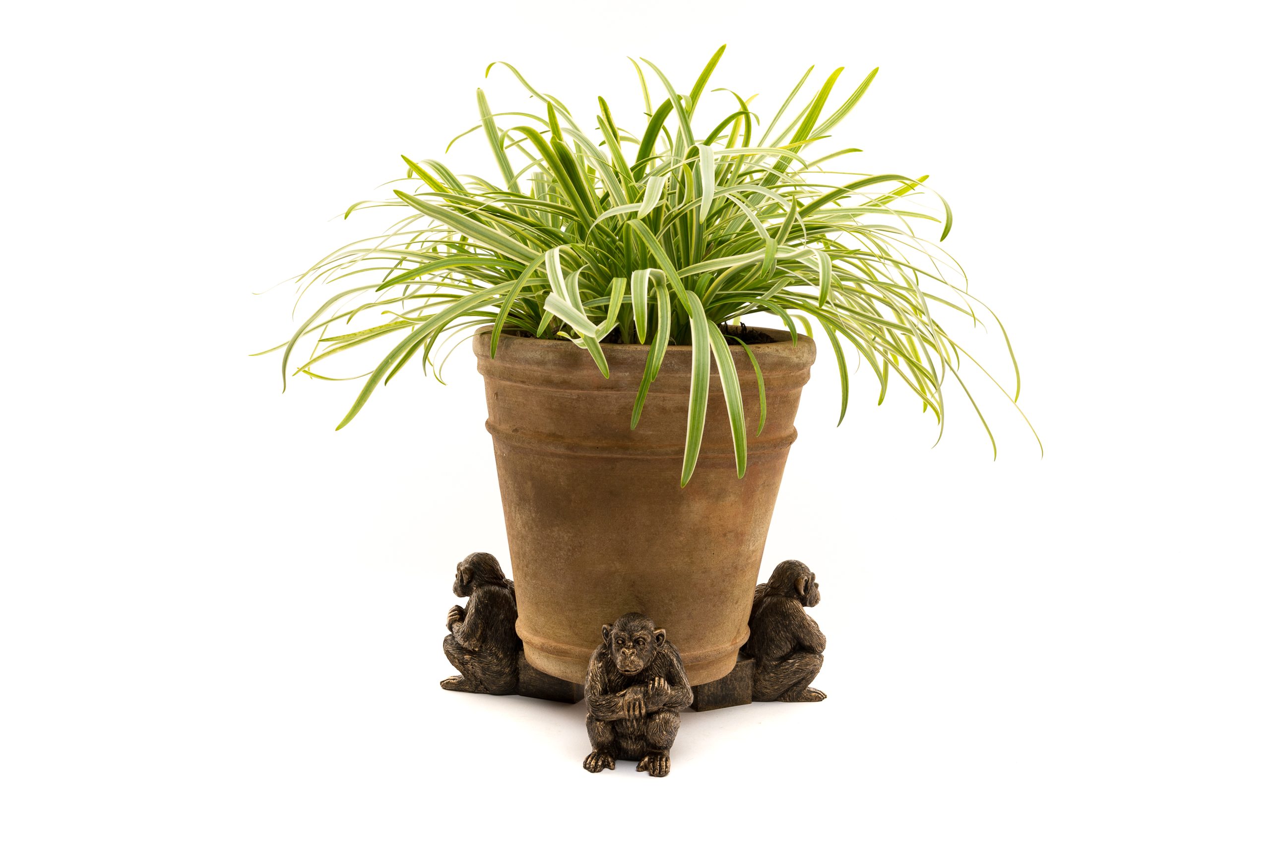 Chimpanzee Potty Feet and Pot Buddy - Image 2