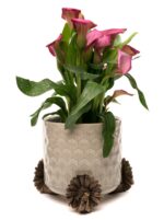 Bee Plant Pot Feet - Set of 3