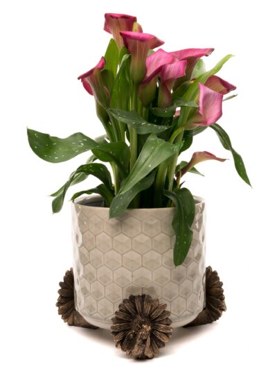 Bee Plant Pot Feet - Set of 3