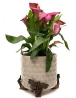 Dragonfly Plant Pot Feet - Set of 3