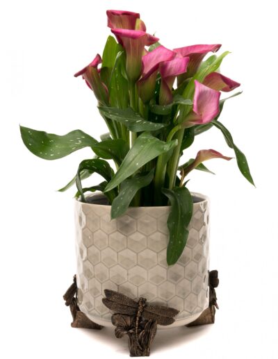 Dragonfly Plant Pot Feet - Set of 3