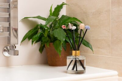 Sea Shells Diffuser Decor Reed Diffuser Decoration - Set of 5