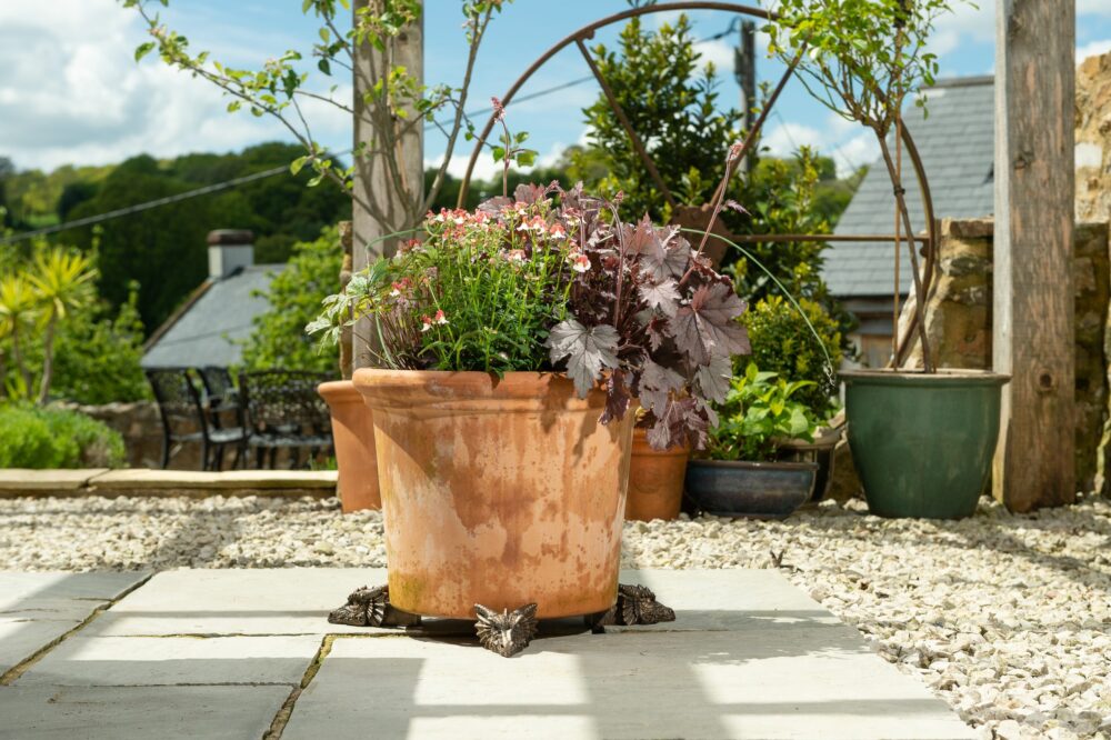 Dragon Plant Pot Feet - Set of 3 - Image 9