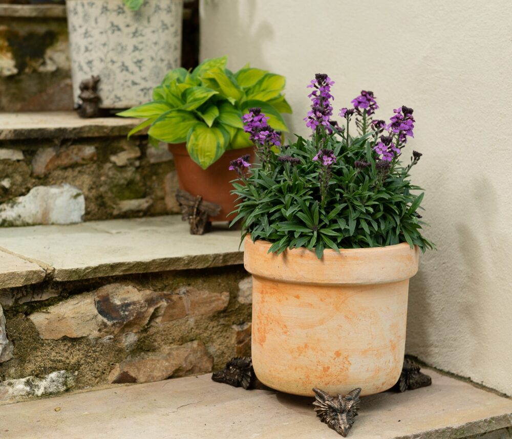 Dragon Plant Pot Feet - Set of 3 - Image 8