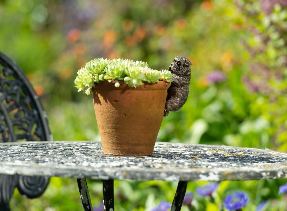 English Bulldog Plant Pot Hanger - Image 11