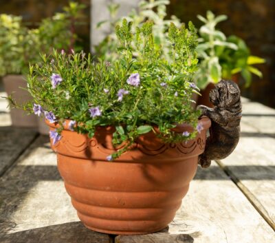 English Bulldog Plant Pot Hanger