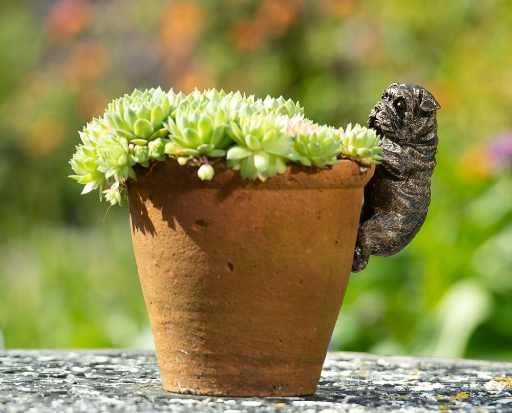English Bulldog Plant Pot Hanger - Image 8