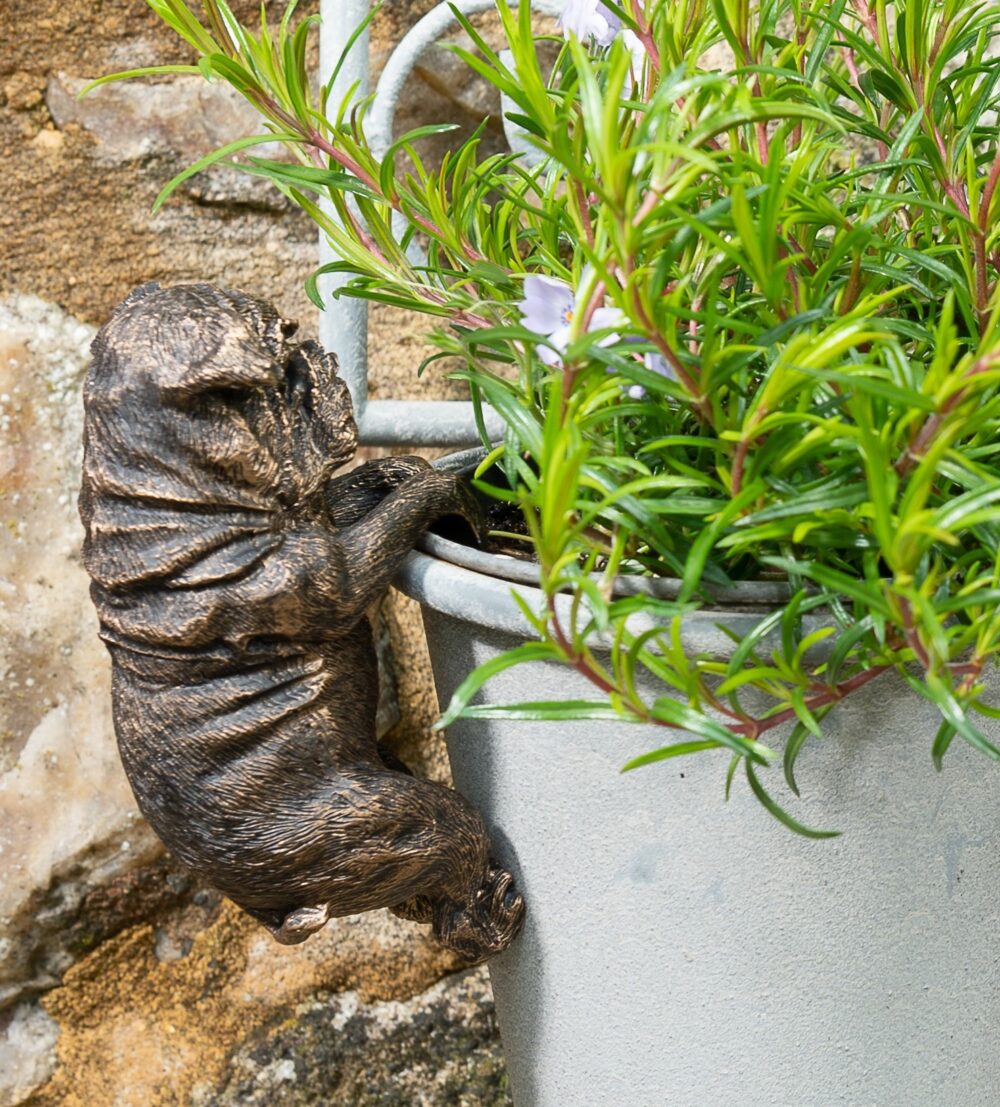 English Bulldog Plant Pot Hanger - Image 6
