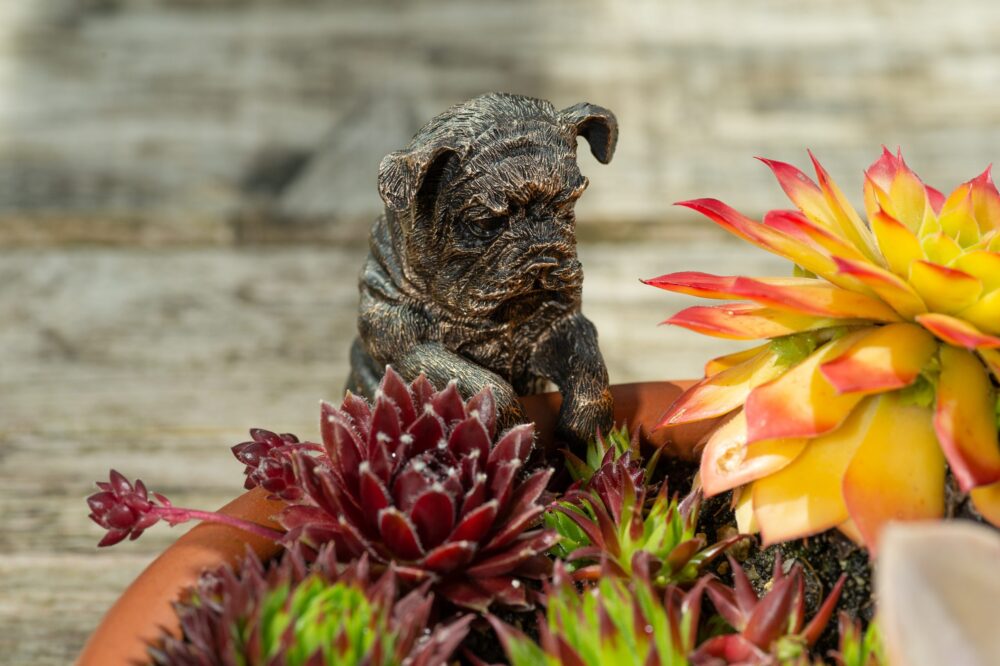 English Bulldog Plant Pot Hanger - Image 4