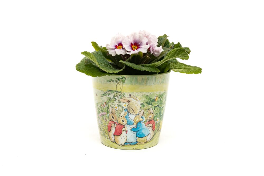 Eco-Pot Bamboo - Beatrix Potter - Peter Rabbit, Mrs Tiddy-Winkle & Jemima Puddleduck SET OF 3 - Image 7
