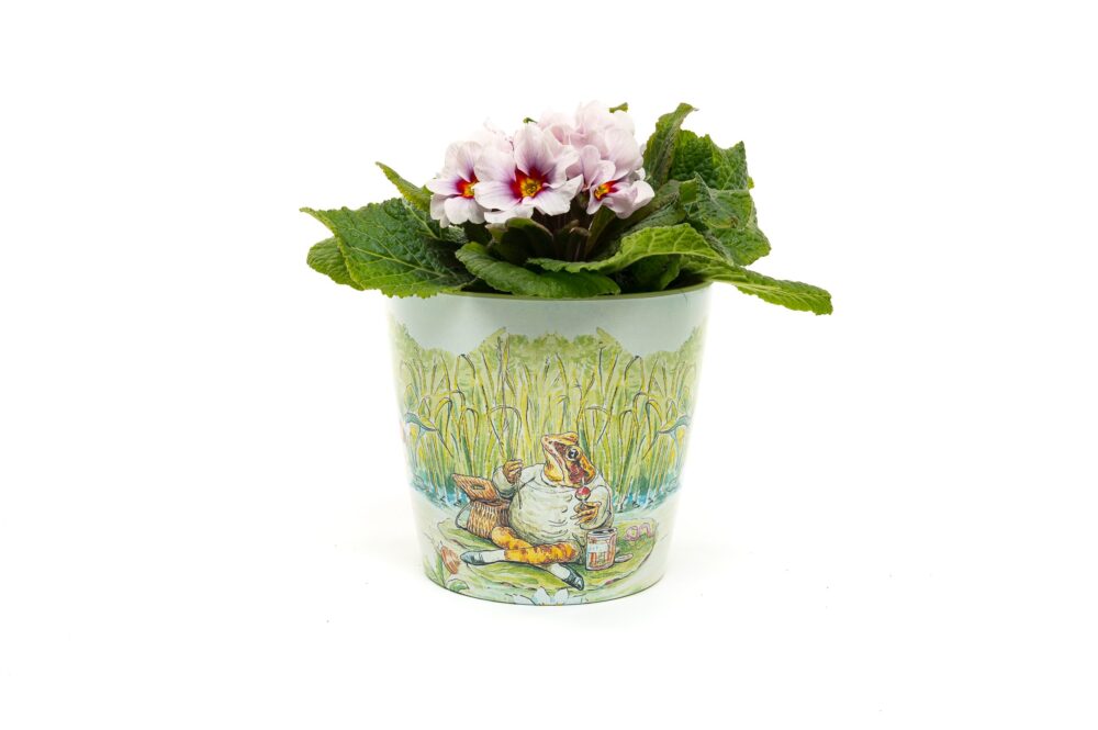 Eco-Pot Bamboo - Beatrix Potter - Peter Rabbit, Tom Kitten & Jeremy Fisher - Set of 3 - Image 5