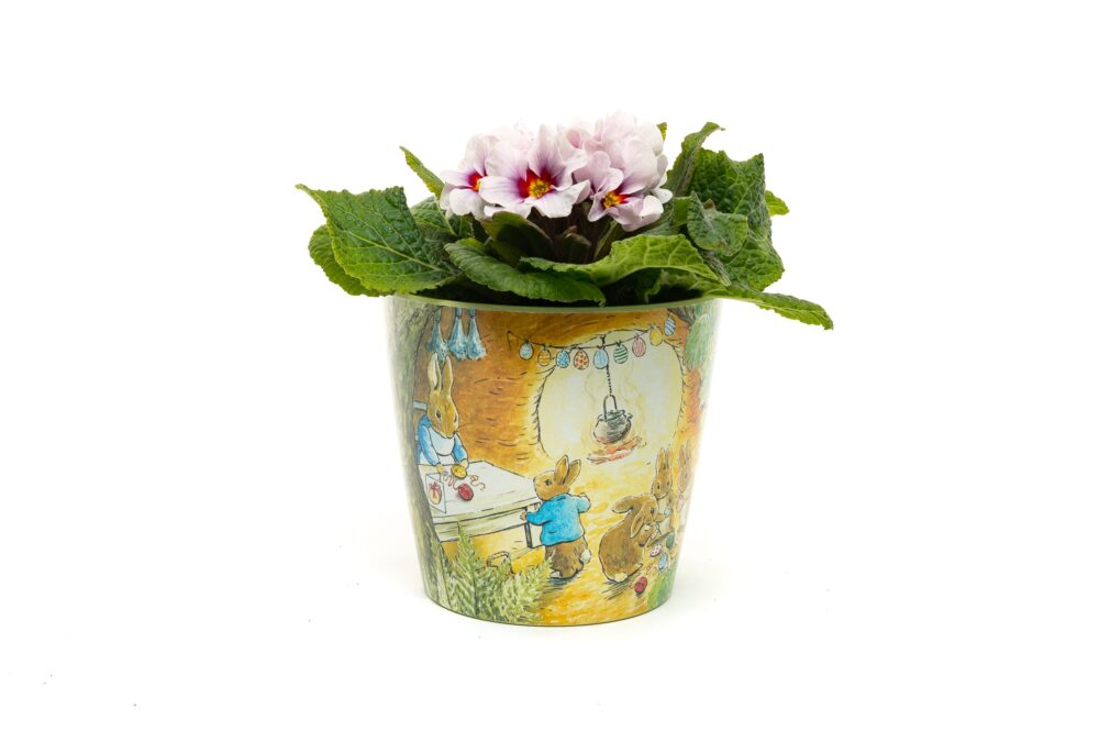 Eco-Pot Bamboo - Beatrix Potter - Peter Rabbit, Tom Kitten & Jeremy Fisher - Set of 3 - Image 4