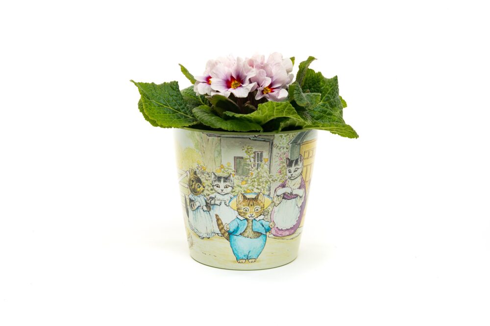 Eco-Pot Bamboo - Beatrix Potter - Peter Rabbit, Tom Kitten & Jeremy Fisher - Set of 3