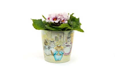 Eco-Pot Bamboo - Beatrix Potter - Peter Rabbit, Tom Kitten & Jeremy Fisher - Set of 3