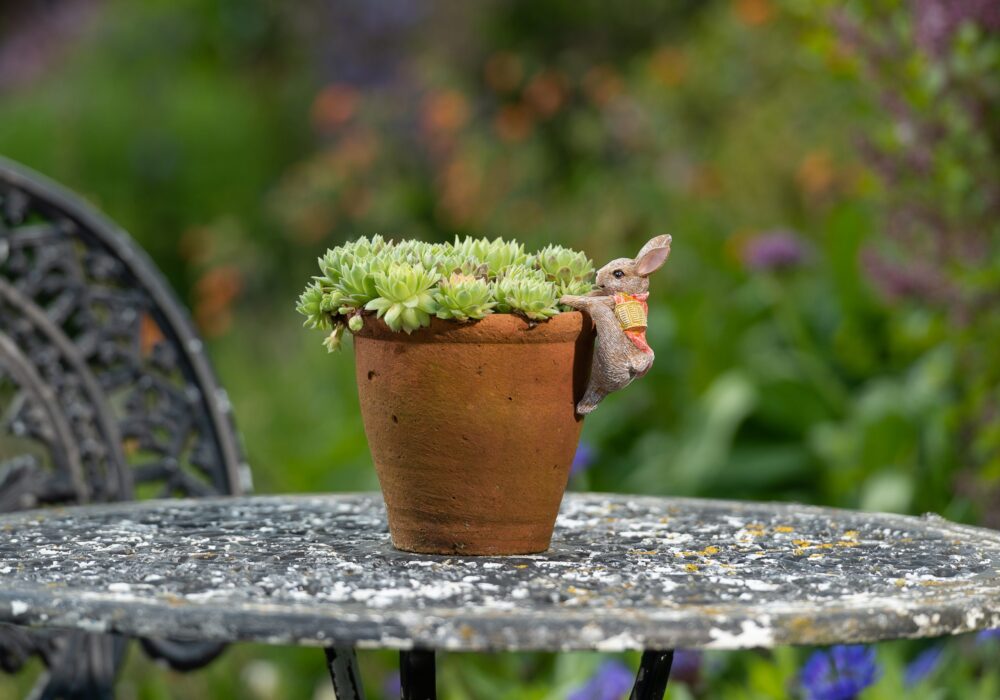 Beatrix Potter Flopsy Bunny Plant Pot Hanger - Image 7