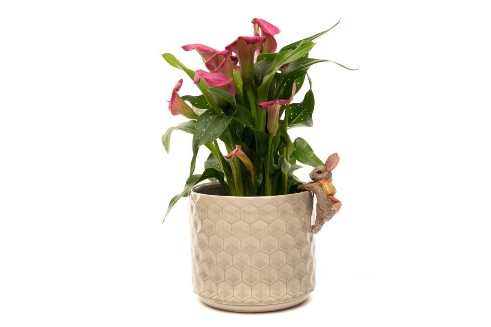Beatrix Potter Flopsy Bunny Plant Pot Hanger - Image 4