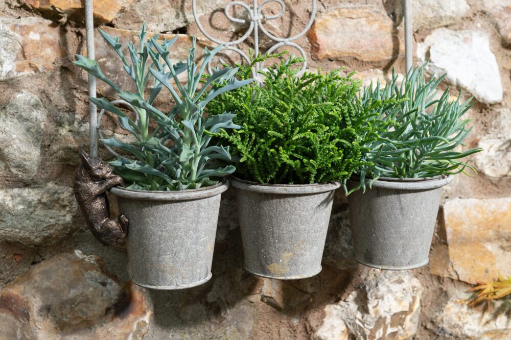 French Bulldog Potty Feet and Pot Buddy - Image 8